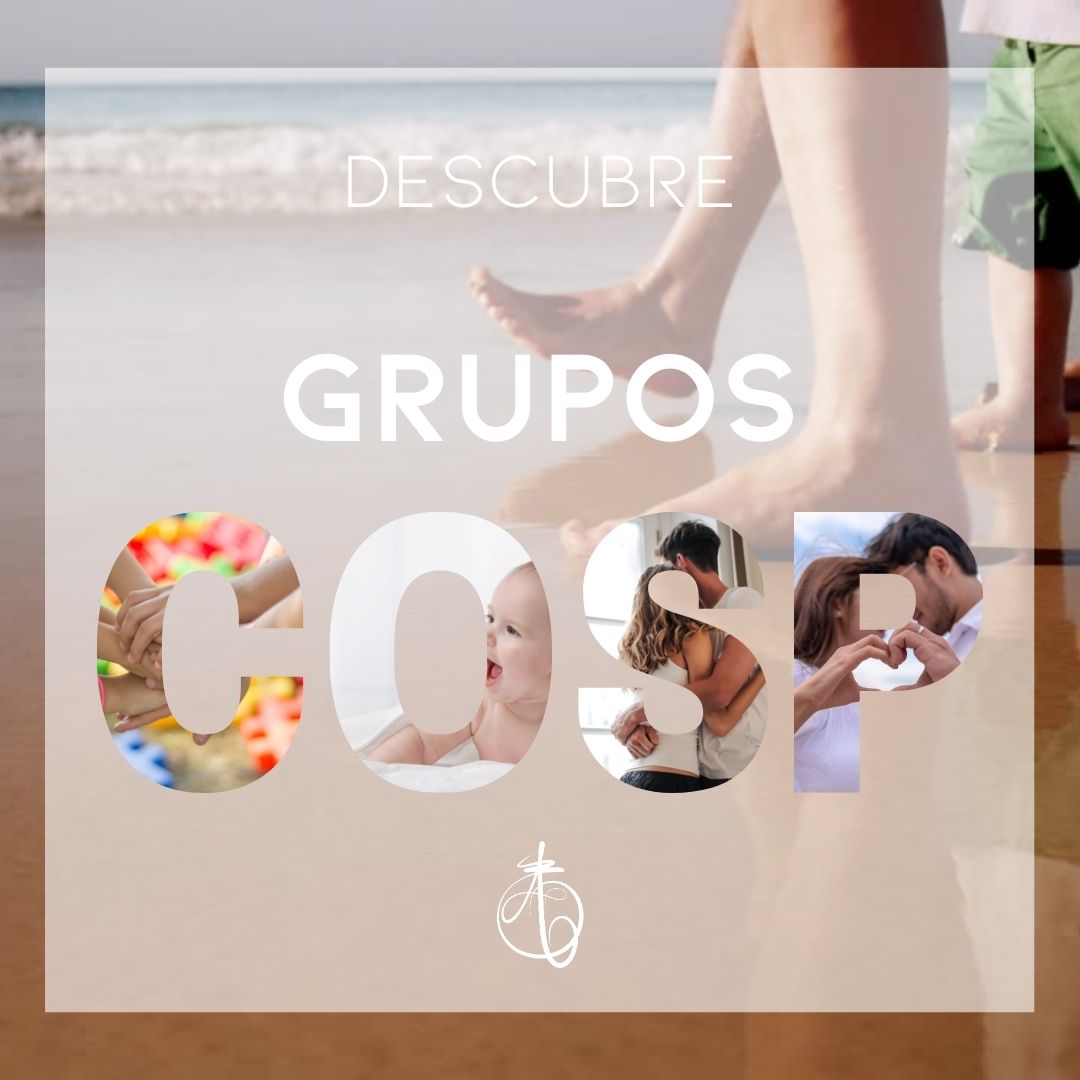 grupos-circulo-seguridad